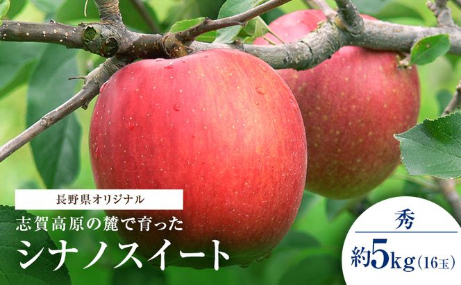 【2026年発送】志賀高原の麓で育った シナノスイート 秀16玉 約5kg りんご フルーツ 果物 デザート 長野県 長野