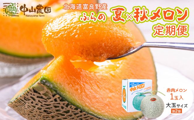 【2026年7～9月 全2回】計2回 ふらの 夏× 秋メロン 定期便 ≪計2玉≫ 北海道 富良野市 (中山農園) メロン フルーツ 果物 