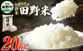 ★令和8年産 新米★四国一小さなまちの田野米  20kg（5kg×4袋）～精米・白米～