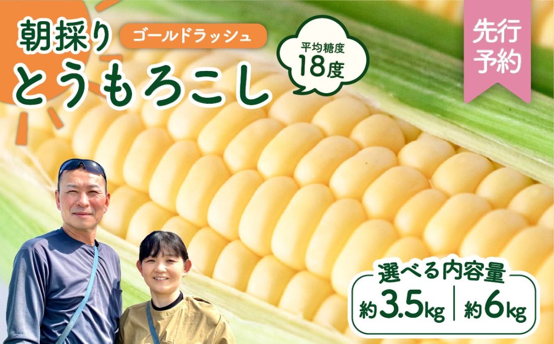 [先行予約 2026年6月中旬以降発送 ] [ 令和8年産 ] 深夜採り 朝出荷 とうもろこし ( ゴールドラッシュ ) [ 選べる内容量( 3.5kg / 6kg ) / 当日便 ] トウモロコ 深夜採り 甘い 新鮮 6kg 3.5kg スイートコーン コーン 野菜 シ極甘 岩田さん 2026 訳あり [AX019ya00][SZRY]