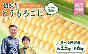 【先行予約 2026年6月中旬以降発送 】 【 令和8年産 】 深夜採り 朝出荷 とうもろこし （ ゴールドラッシュ ） 【 選べる内容量（ 3.5kg / 6kg ） / 当日便 】 トウモロコ 深夜採り 甘い 新鮮 6kg 3.5kg スイートコーン コーン 野菜 シ極甘 岩田さん 2026 訳あり [AX019ya00][SZRY]