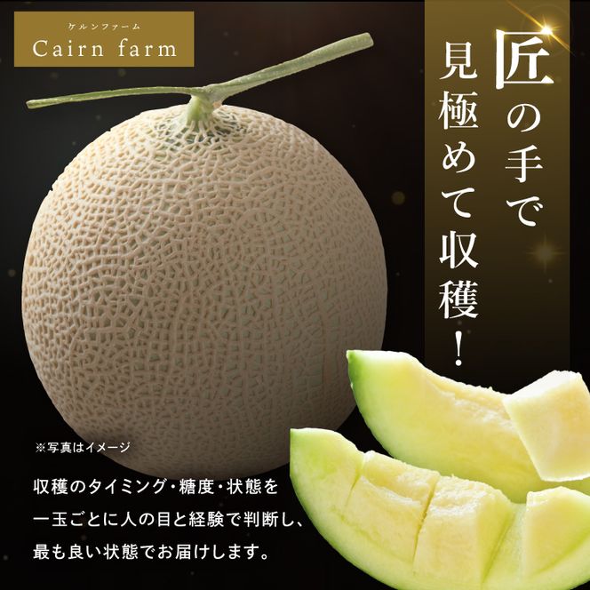 完熟 メロン イバラキング 1玉 │ 1.5kg フルーツ 産地直送 高級 贈答用 （CK001）