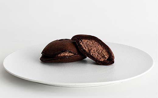 手づくり生どら焼き 10個詰合せ（化粧箱入り） どら焼き 生どら焼き 菓子 和菓子 お茶菓子 お茶請け グルメ 国産 日本製 食品 F6P-3230