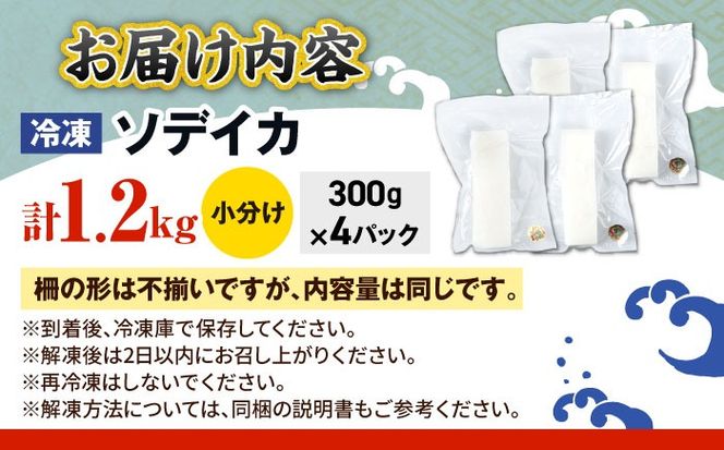 冷凍セーイカ (そでいか) 1.2kg (300g ×4パック) 沖縄市 / 沖縄市漁業協同組合 パヤオ直売店[BCDZ009]