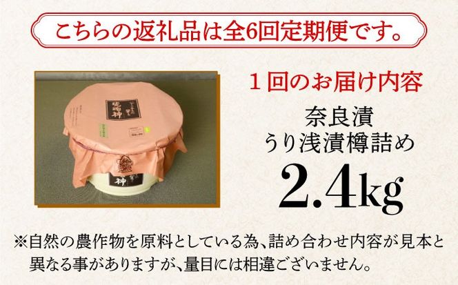 【先行予約】【全6回定期便】【明治神宮ご奉献品】奈良漬 「琥珀漬」 うり浅漬 樽詰め 2.4Skg《築上町》【有限会社奈良漬さろん安部】奈良漬 奈良漬け[ABAE056]