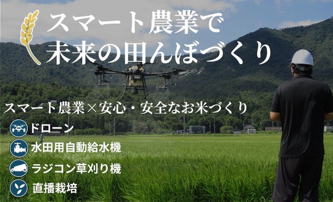 【C-600】アグリサポート高島　高島産こしひかり 5kg ［高島屋選定品］