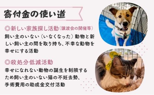 【ふるさと納税】【寄付額が選べる】日本動物愛護協会殺処分低減活動への寄附【犬猫殺処分ゼロ】（返礼品なし）【MRI-AiD】