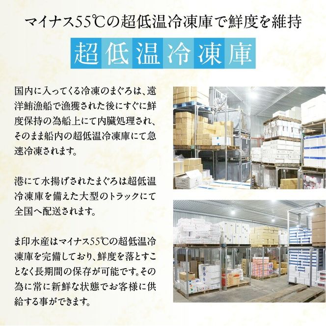 北海道産 本まぐろたたき 海鮮醤油漬 80ｇ 選べる 内容量 3袋 5袋 マグロ 醤油漬け 炙り たたき 特製 醤油ダレ つまみ 丼 漬け丼 酒の肴 夜ご飯 小分け パック 海産物 海鮮 お取り寄せ お取り寄せグルメ 北海道 函館市 送料無料_HD109-011-sku