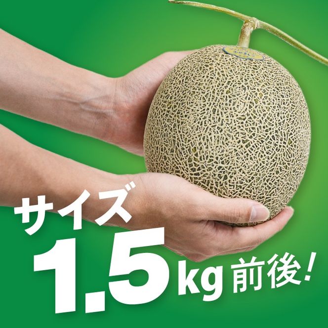 【先行予約】【数量限定】タカミメロン 2個セット｜青肉・高糖度｜みずみずしい上品な甘さ｜産地直送｜栃木県益子町 (AA021)