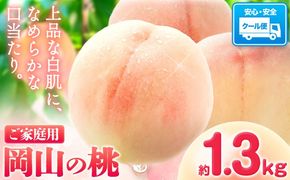 【2027年発送先行予約】 桃 岡山の桃 約1.3kg《2027年6月下旬～9月上旬頃出荷》岡山県 笠岡市 白桃 岡山 はくとう スイーツ フルーツ 果物 デザート 旬 モモ もも 送料無料 果物 清水白桃 白鳳 白麗 クール便---kasaoka_zsy_412_13_2027---