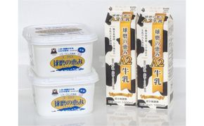 牛乳 ヨーグルト 球磨の恵み お腹にもやさしいA2ミルクとヨーグルト加糖 セット ミルク 牛乳2本 ヨーグルト2個【配送不可：沖縄県、離島】