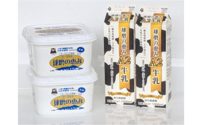 牛乳 ヨーグルト 球磨の恵み お腹にもやさしいA2ミルクとヨーグルト加糖 セット ミルク 牛乳2本 ヨーグルト2個【配送不可：沖縄県、離島】