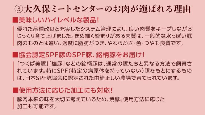 【 常陸の輝き 】 豚 ロースしゃぶしゃぶ＆スライス＆ロースステーキ 贅沢 セット (茨城県共通返礼品) 国産 国内産 豚肉 ポーク 生姜焼き 焼肉 しゃぶしゃぶ 鍋 カレー 焼きそば 炒め物 贈り物 ギフト [ET16-NT]