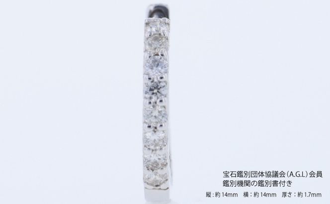 J088 ARC-EN-CIEL PTダイヤピアス（計 0.20ct）