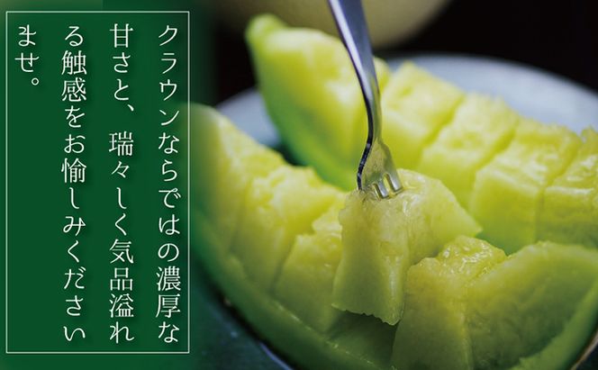 【奇数月6回定期便】クラウンメロン（白等級）1玉入 果物類 メロン青肉 フルーツ 