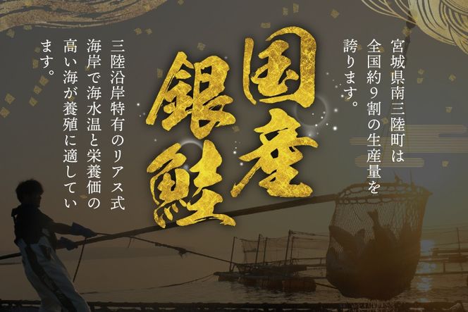 訳あり 三陸産 銀鮭 切身 約2.2kg [阿部長商店 宮城県 南三陸町 m304amh530007] 魚介類 魚 鮭 海鮮 さけ サケ 鮭切身 シャケ 切り身 訳アリ おかず 弁当 サーモン 銀鮭切り身 国産 無塩 規格外 無塩鮭 不揃い 冷凍 家庭用 わけあり