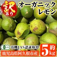 数量限定！有機JAS 訳ありオーガニックレモン(約5kg) 国産 訳あり レモン 檸檬 果実 果物 フルーツ 柑橘 デザート 期間限定 有機栽培 健康志向【中村農場】a-9-9