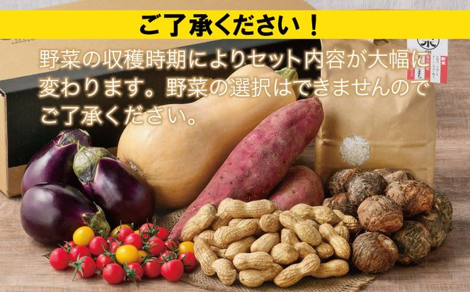 010B1476 【数量限定】【新米1kg入り】ねね屋の採れたて野菜セット 5品目以上 詰め合わせ 期間限定