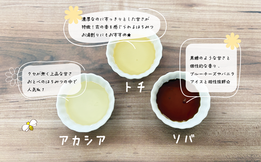 ＜おとべのはちみつ　アソートセット1個＞天然アカシア・トチ・そば蜜のセット