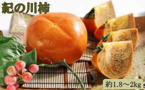【希少】紀の川柿約1.8～2kg（種無し）秀選品