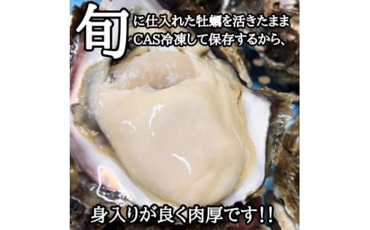 篠島2種の天然殻付きカキ2kg(岩牡蠣&真牡蠣)食べ比べセット 生食用/CAS冷凍　海鮮BBQに!