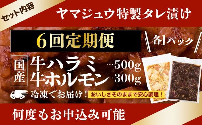 ヤマジュウの特選タレ漬け！牛ハラミ肉＆国産牛ホルモン計８００ｇ【６回定期便】_yj087