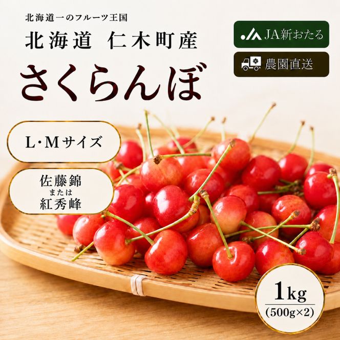 2027年発送北海道 仁木町産 7月旬 さくらんぼ 1kg（500g×2） サクランボ チェリー フルーツ 果物 果物類  仁木町 仁木 [JA新おたる]