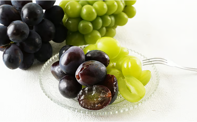 ぶどう 2026年 先行予約 果物 詰合せ ニュー ピオーネ 1房480g以上 シャイン マスカット 晴王 1房 480g以上 化粧箱入り 岡山県産 国産 フルーツ 果物 ギフト 贈答品 フルーツ詰め合わせ 食べ比べ [№5735-1459]