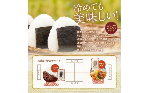 令和8年産【定期便3ヶ月】ななつぼし 精米 20kg（5kg×4袋） 【10月発送】開始 雪冷気 籾貯蔵 雪中米 北海道 nr-3130