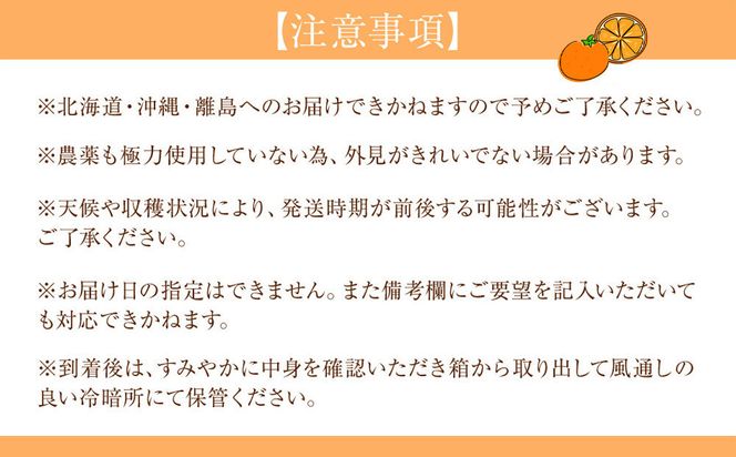 贈答用 森本農園の手選別 不知火 約2kg 和歌山県産  2L～3Lサイズ［北海道・沖縄・離島配送不可］［RN132］ 303446_DJ90132