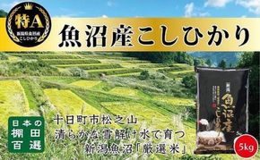 日本棚田百選のお米 天空の里・魚沼産こしひかり ５ｋｇ 白米 安心 安全 こだわり 