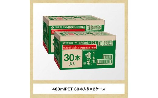 お～いお茶 濃い茶 460ml×60本 PET 【 飲料 飲み物 ソフトドリンク お茶 ペットボトル スリム スマートボトル 備蓄 送料無料 】 [D07348]