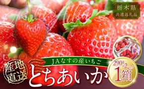 ns084-002 【数量限定】JAなすの産いちご 産地直送 とちあいか 1箱（290g×2パック）【栃木県共通返礼品】