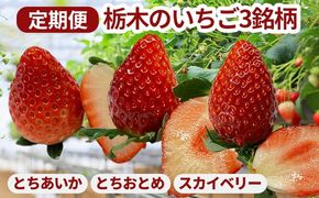 【定期便】栃木のいちご3銘柄（とちあいか　とちおとめ　スカイベリー）定期便　400g×1パック　※2026年1月上旬頃から1ヶ月毎1種類ずつ順次発送予定