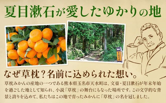 草枕みかん 約4kg 《11月上旬-12月上旬頃出荷》熊本県 玉名郡 玉東町 フルーツ 柑橘 みかん ミカン 草枕 デザート 送料無料 ---gk_ksm_ad11_r7_10000_4kg---