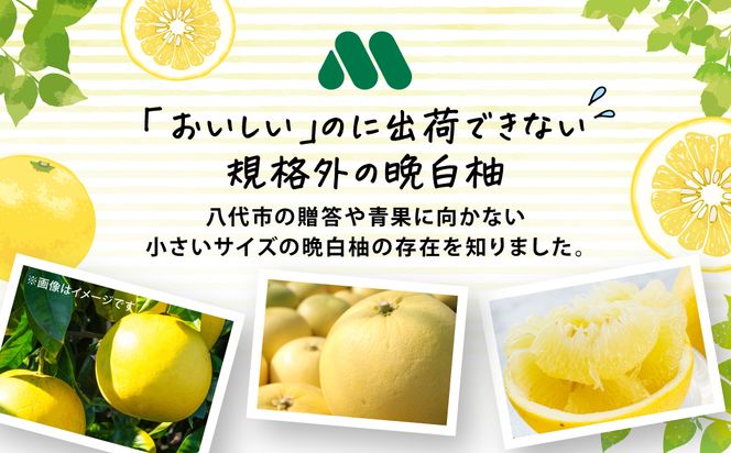 【先行予約】 くまモンのシャーベット 世界一大きな柑橘(ザボン類) 熊本県産 晩白柚 使用 アイス 氷菓子 果汁 果物 熊本 八代 国産 スイーツ くまモン 【2026年1月より順次発送】
