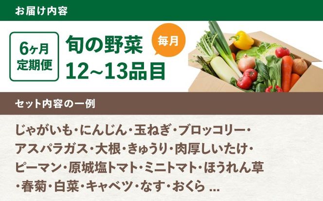 【6回定期便】野菜のプロが選ぶ 旬の野菜セット 12〜13品目 野菜定期便 / 野菜 やさい セット 新鮮 / 南島原市 / 愛2農園[SGG003]