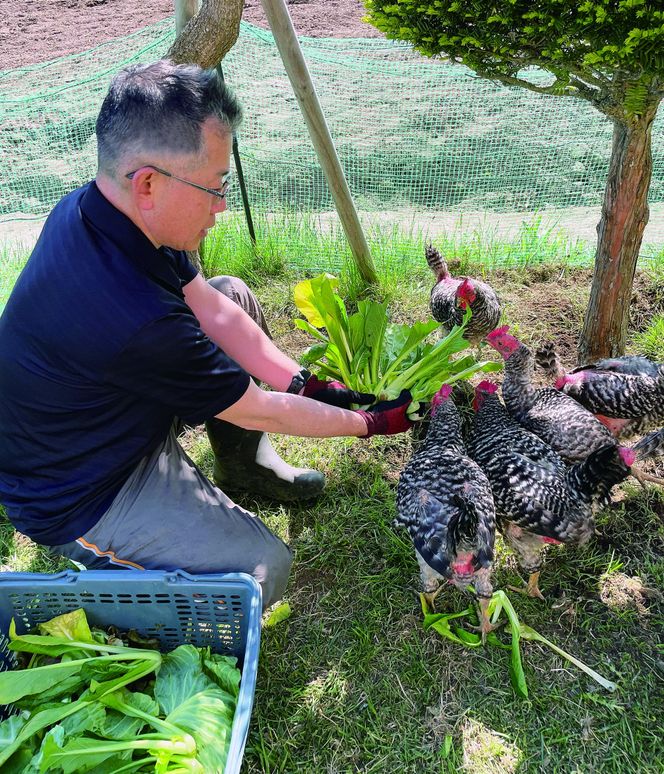 【限定50セット】標茶の恵み「平飼い 純国産 岡崎おうはん　こだわりの卵１箱 10個入り1セット」 016641_BT002