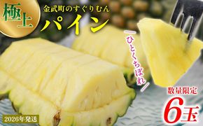 2026年発送【数量限定】ひとくちぼれ 金武町のすぐりむん（極上）パイン 6玉 パイナップル ぱいなっぷる パインアップル ぱいんあっぷる 国産 ギフト ボゴール スナック パイン 夏 贈答品 贈り物 プレゼント フレッシュ 土産 お取り寄せ フルーツ 果物 沖縄 金武町