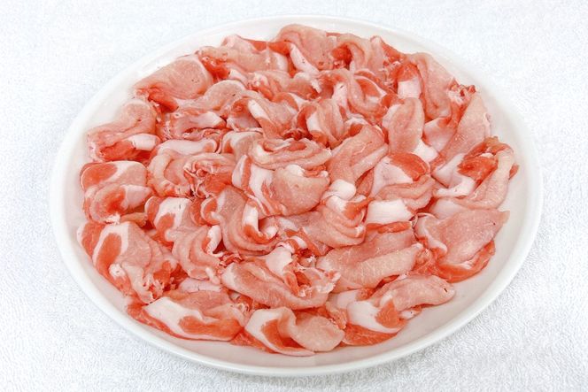 豚肉 宮崎県産豚肉 3.8kg 詰め合わせ セット [TRINITY 宮崎県 日向市 452061327] 小分け 豚 肉 宮崎 ロース スライス 豚バラ とんかつ 切り落とし ミンチ 豚ミンチ ひき肉 真空パック