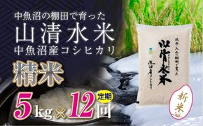 【令和8年産 新米】 【定期便／全12回】精米5kg　新潟県魚沼産コシヒカリ「山清水米」十日町市 米