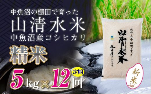 【令和8年産 新米】 【定期便／全12回】精米5kg　新潟県魚沼産コシヒカリ「山清水米」十日町市 米