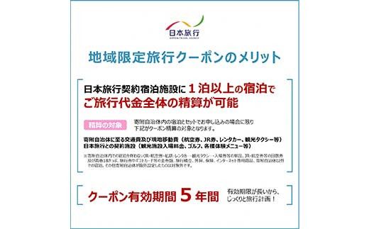 富山県立山町 日本旅行 地域限定旅行クーポン90,000円分 旅 旅行 観光 レジャー チケット クーポン 立山観光 F6T-757