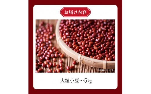 MORITABEANS プレミア小豆 5kg_S001-0003