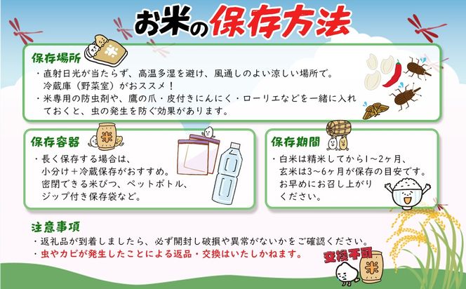 【令和7年産】米 玄米 コシヒカリ 5kg(5kg×1袋) 国産 ご飯 茨城県 境町産 人気 S278