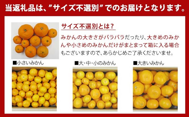 【訳あり/ご家庭用】和歌山県産みかん 約5㎏【サイズ混合】 サンファーム《10月上旬-1月下旬頃出荷》和歌山県 紀の川市---wsk_saf13_1j3m_26_11500_10kg---