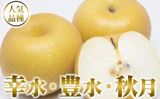 【2025年発送分】フルーツ王国やまなし《人気品種》 和梨 8～15玉（約2.5kg）幸水 豊水  ※8月上旬以降発送予定 梨 なし くだもの 果物 フルーツ 山梨 やまなし 産地直送 先行予約