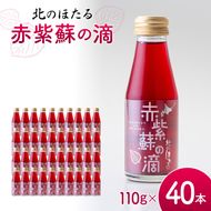 赤紫蘇の滴110g×40本 1回 赤紫蘇 紫蘇ジュース しそ しそドリンク 北海道産 健康ドリンク しそジュース 赤しそ クエン酸 健康 美容 健康飲料 無添加風味 北のほたる 沼田町 北海道 n-0212