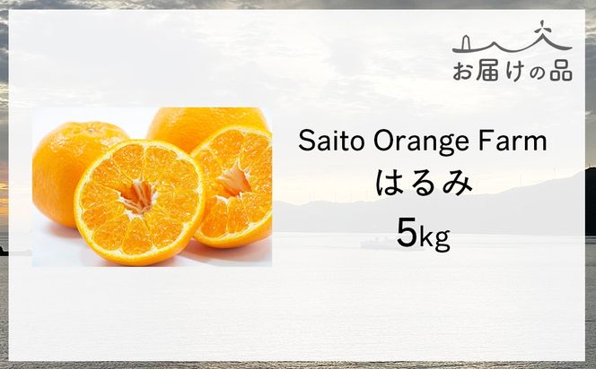 【先行予約】Saito Orange Farmのはるみ5kg（2026年2月上中旬頃より順次発送） IKTAQ016