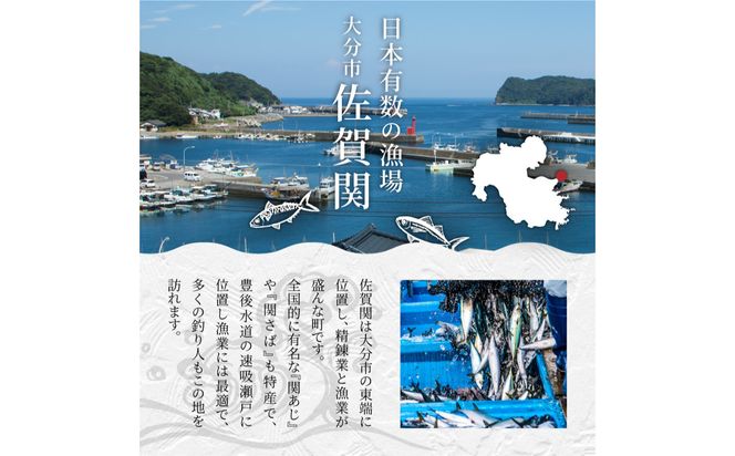 【E22027】関のたい茶漬け藻なかセット（12食分）